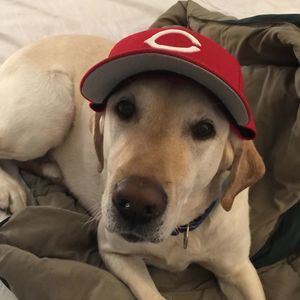 Meet your Posher, Reed